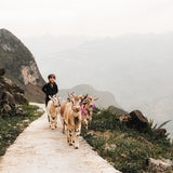High in the mountains | Fine Art Poster Vietnam