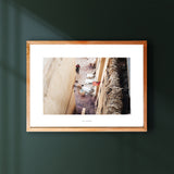 Van geit tot tapijt | Fine Art Poster Marokko