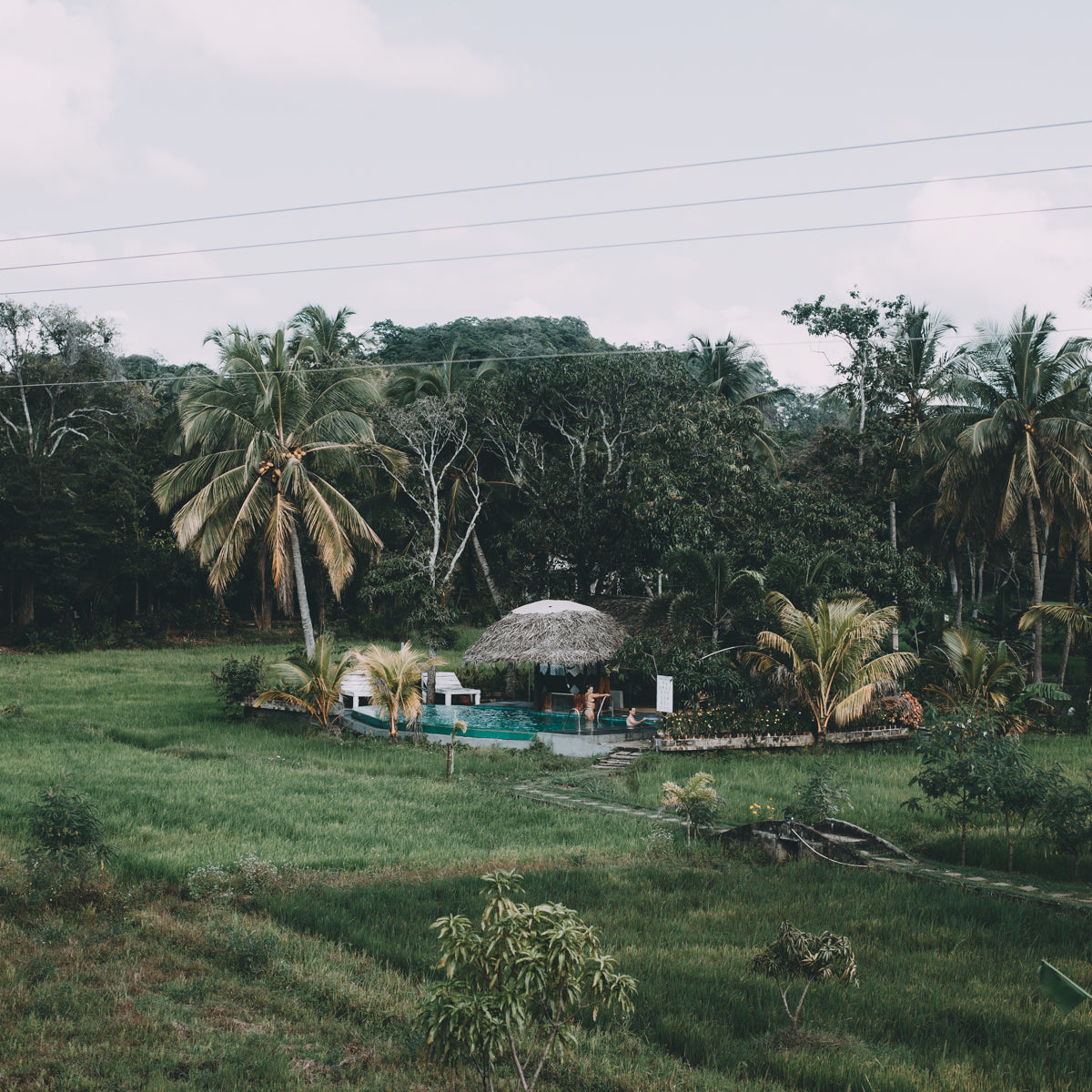 De beste reistijd & reisroute voor Sri Lanka