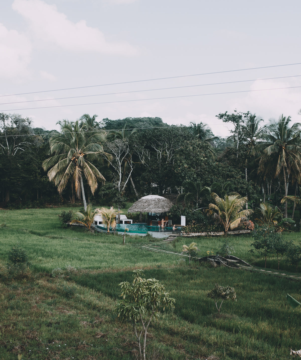 De beste reistijd & reisroute voor Sri Lanka