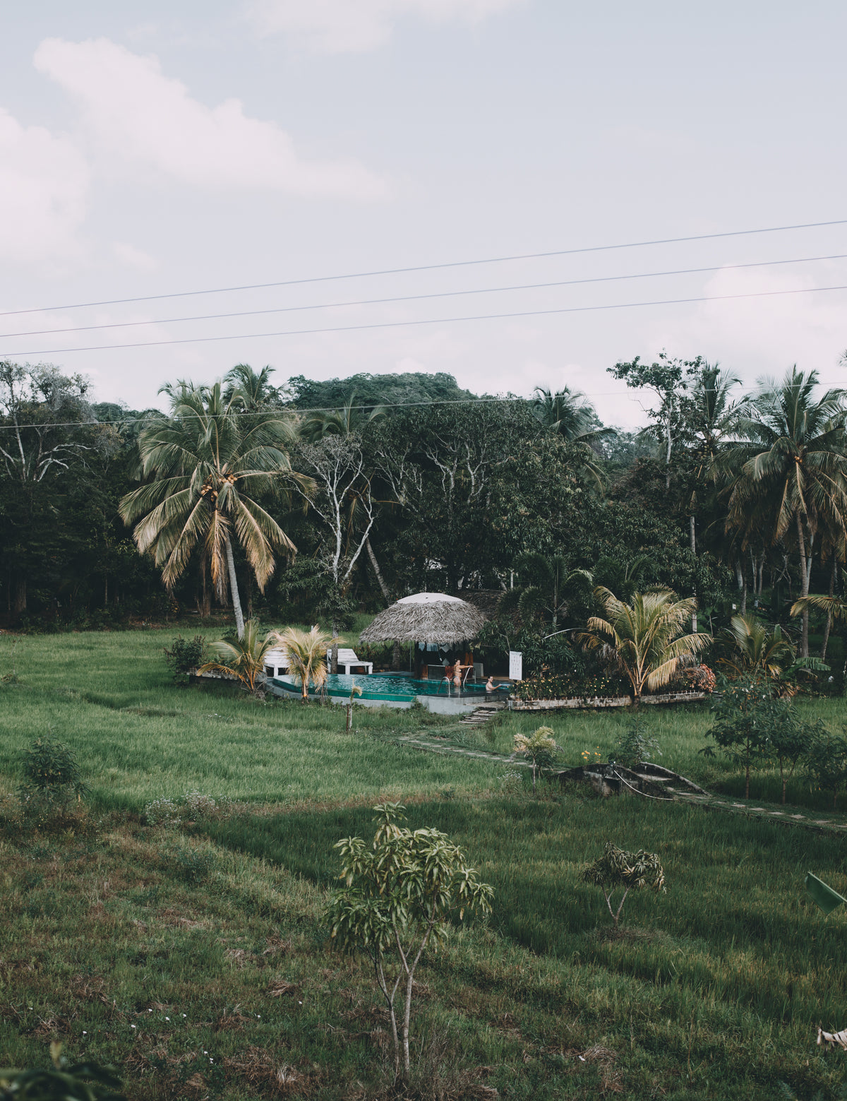 De beste reistijd & reisroute voor Sri Lanka