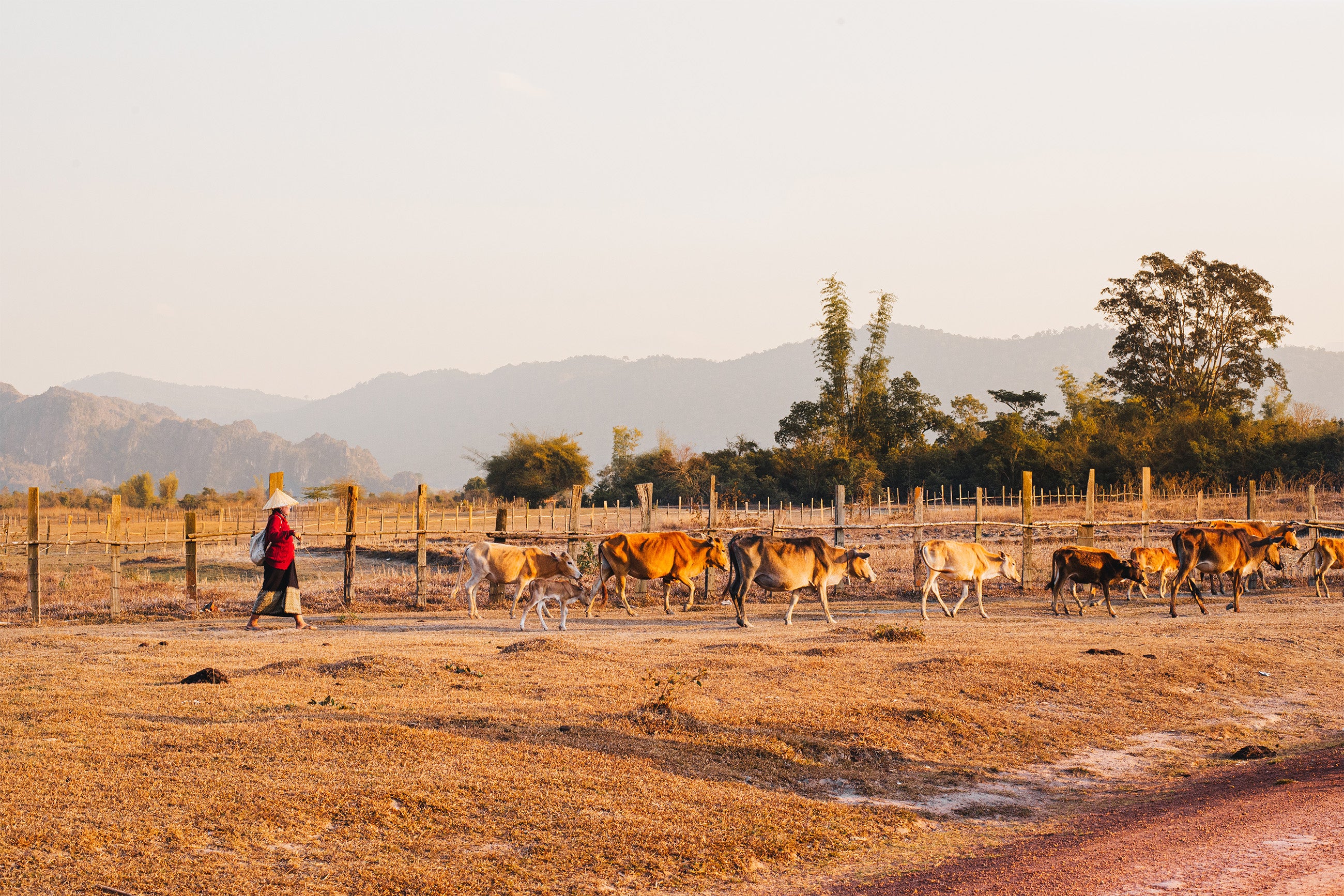 Laos | Fine Art Posters