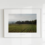 Van het veld | Fine Art Poster Thailand