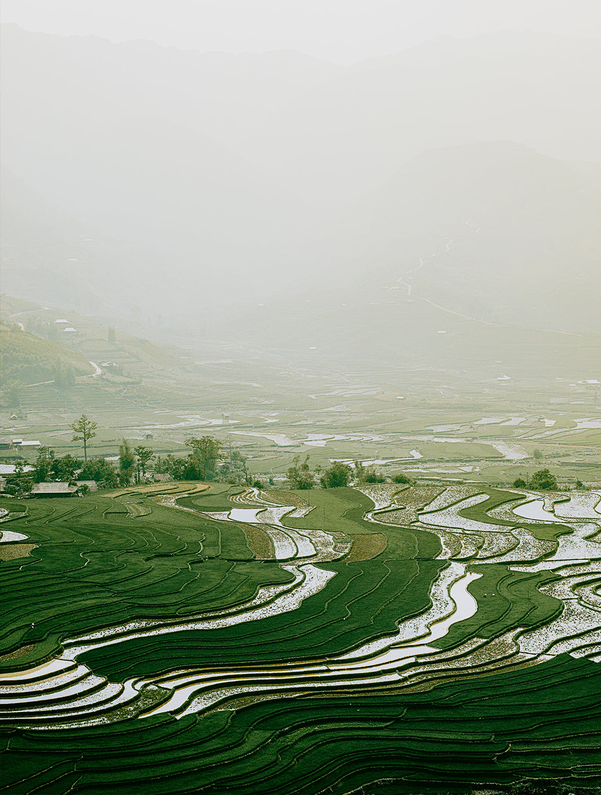 Poster van rijstvelden in Mu Cang Chai in Vietnam 