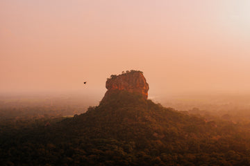 Lion Rock in Sigiriya Sri Lanka tips