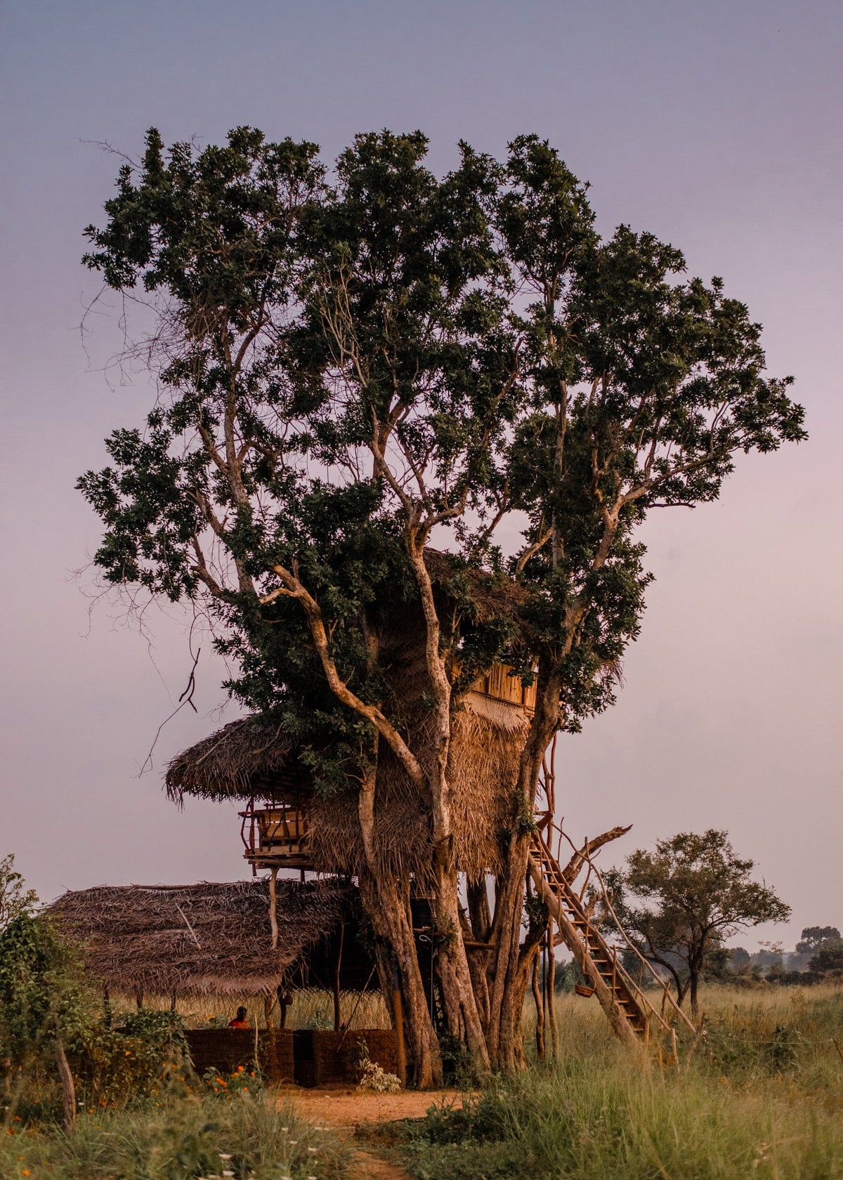 Unieke accomodaties in Sri Lanka Usha Tree House