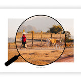 De herderin | Fine Art Poster Laos