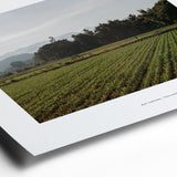 Van het veld | Fine Art Poster Thailand