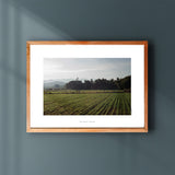 Van het veld | Fine Art Poster Thailand