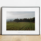 Van het veld | Fine Art Poster Thailand